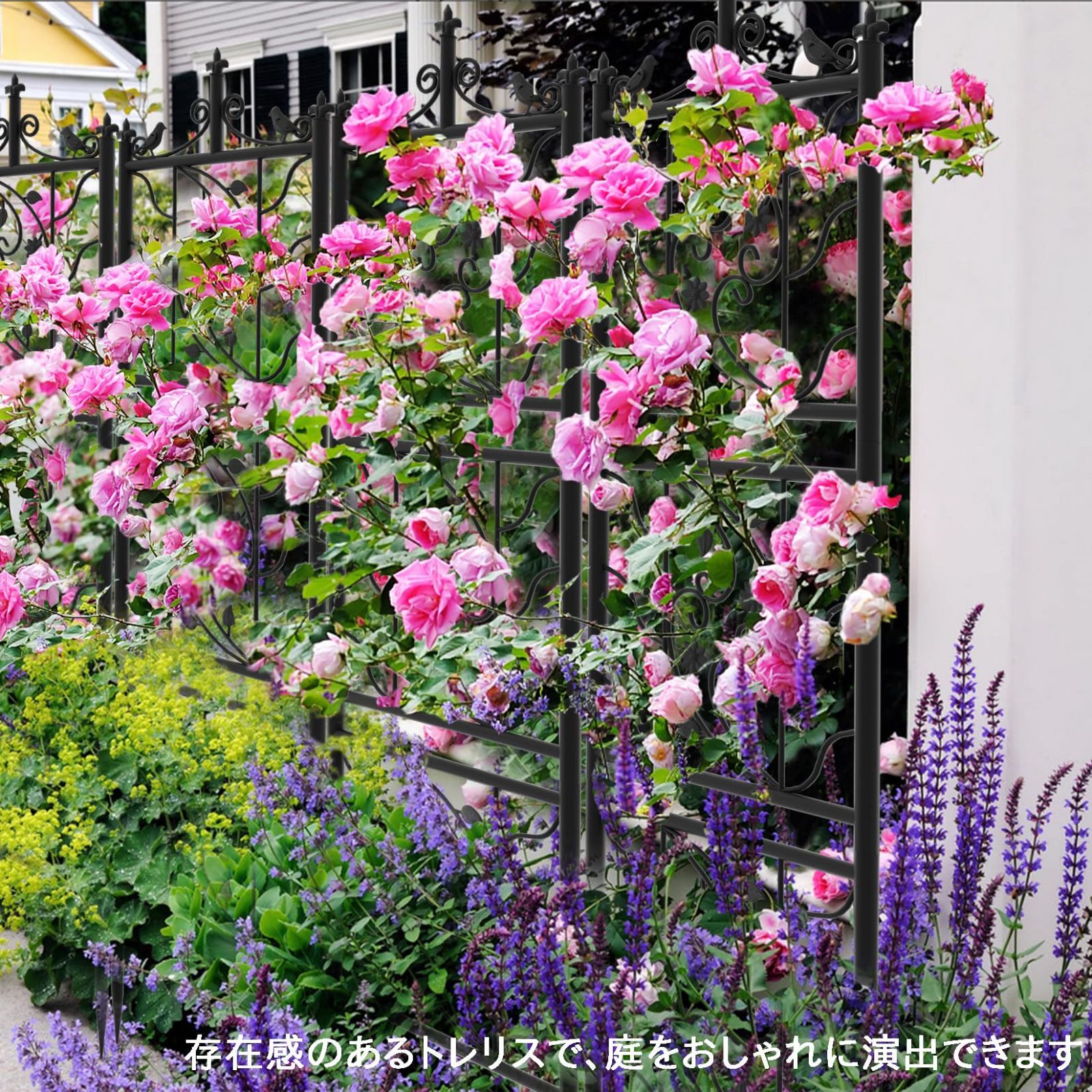 つるバラ用トレリス アイアン 屋外 ガーデンフェンス 目隠し 差し込み型 高い 黒 ハイタイプ 180cm 鳥 クレマチス 朝顔 つる性植物誘引 ガーデニングつるトレリス おしゃれ 支柱