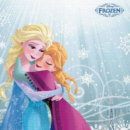 アナと雪の女王のファブリックボード　30︎30cm ディズニー