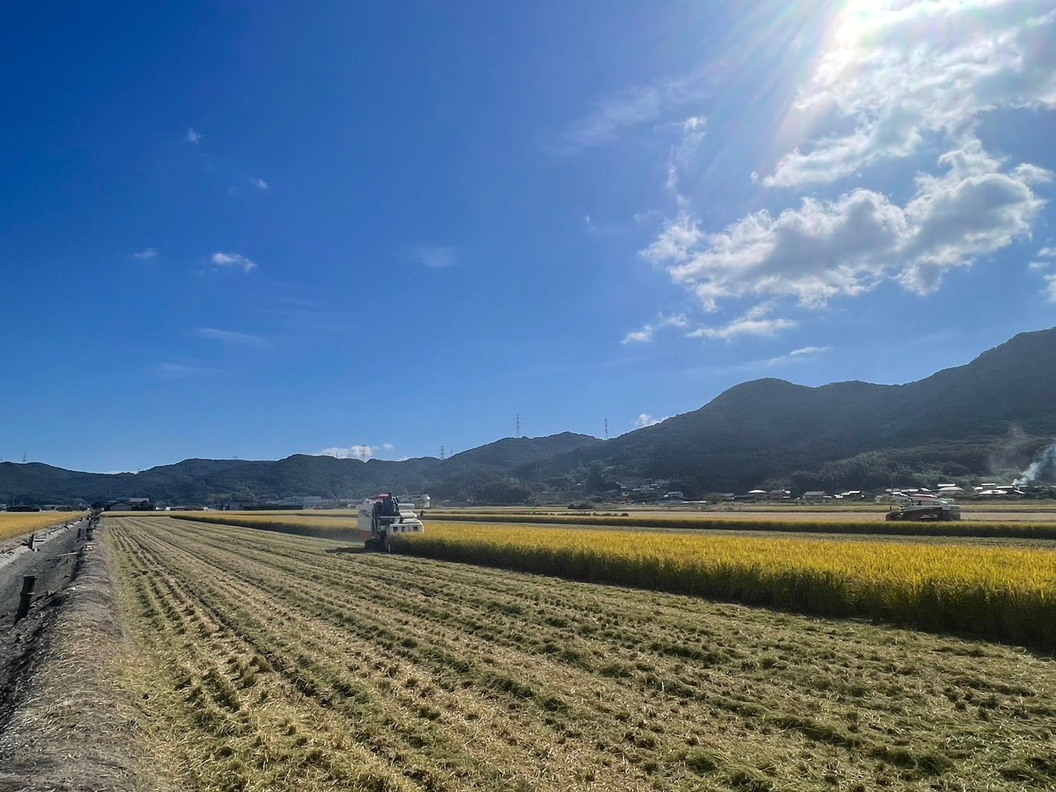 中米】岡山で穫れたひのひかり 【白米】 20キロ Amazon.co.jp: 【生産