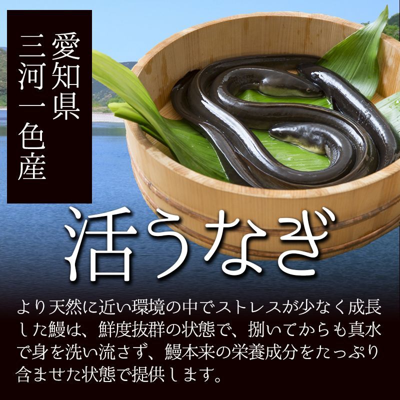 うなぎ 国産 70g×5袋 蒲焼き きざみ 炭火焼  訳あり 愛知県三河一色産 海鮮 丼 鰻 ウナギ 高評価 鰻国産 かば焼き(※沖縄県配送不可)