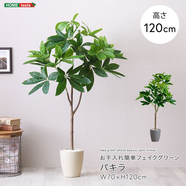 お手入れ簡単フェイクグリーン パキラ Sサイズ 2801