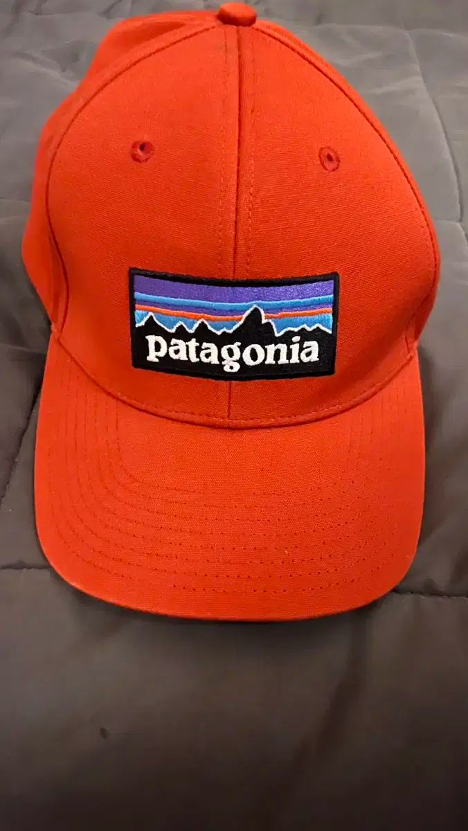 【雷市場（ポンジャン）商品韓国直送】Patagonia(パタゴニア) ボールキャップ