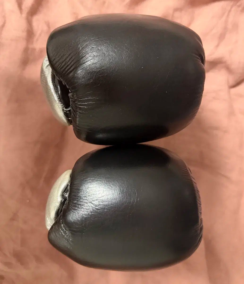 ラード ベーシック ボクシング グローブ 10 オンス ホースガン