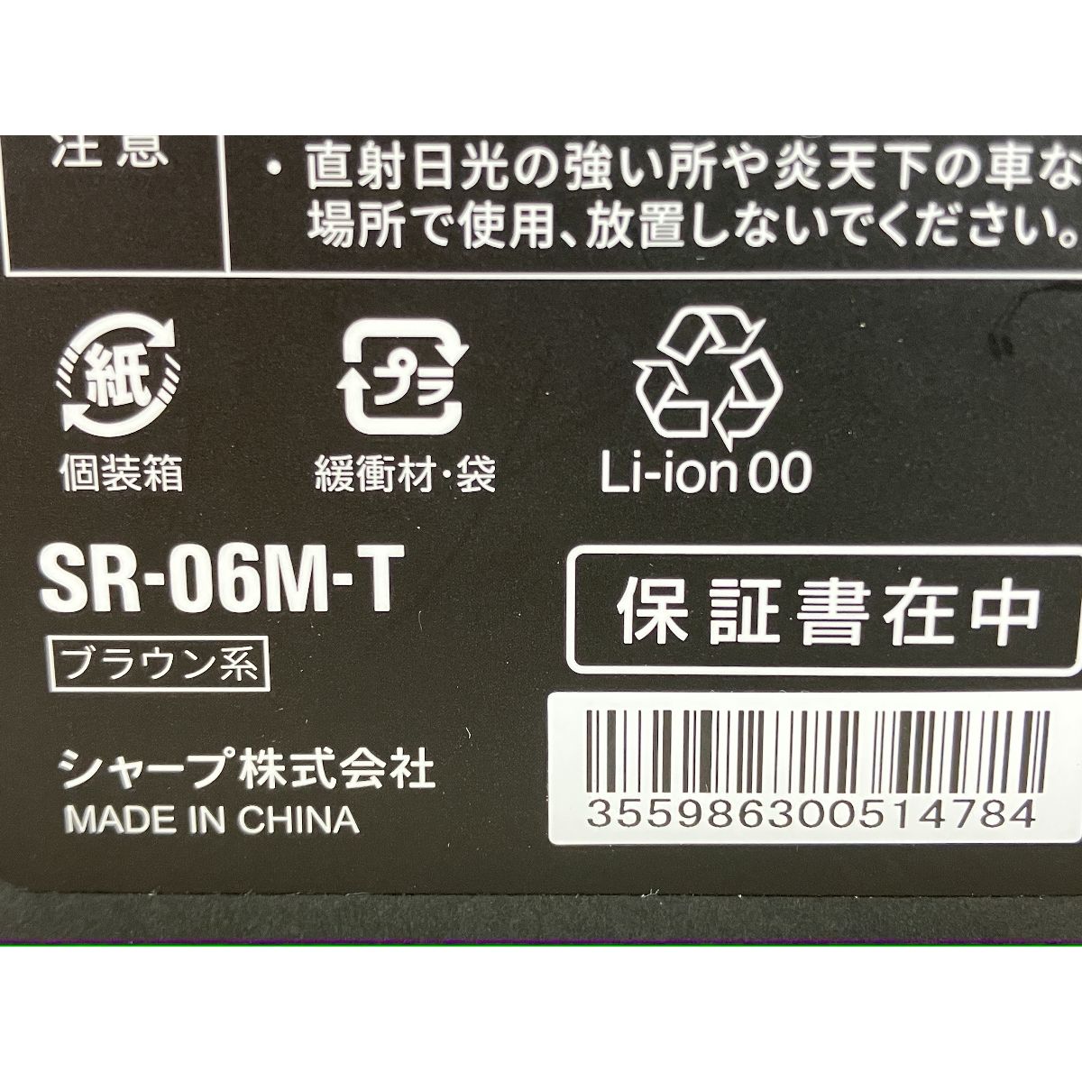 RoBoHoN