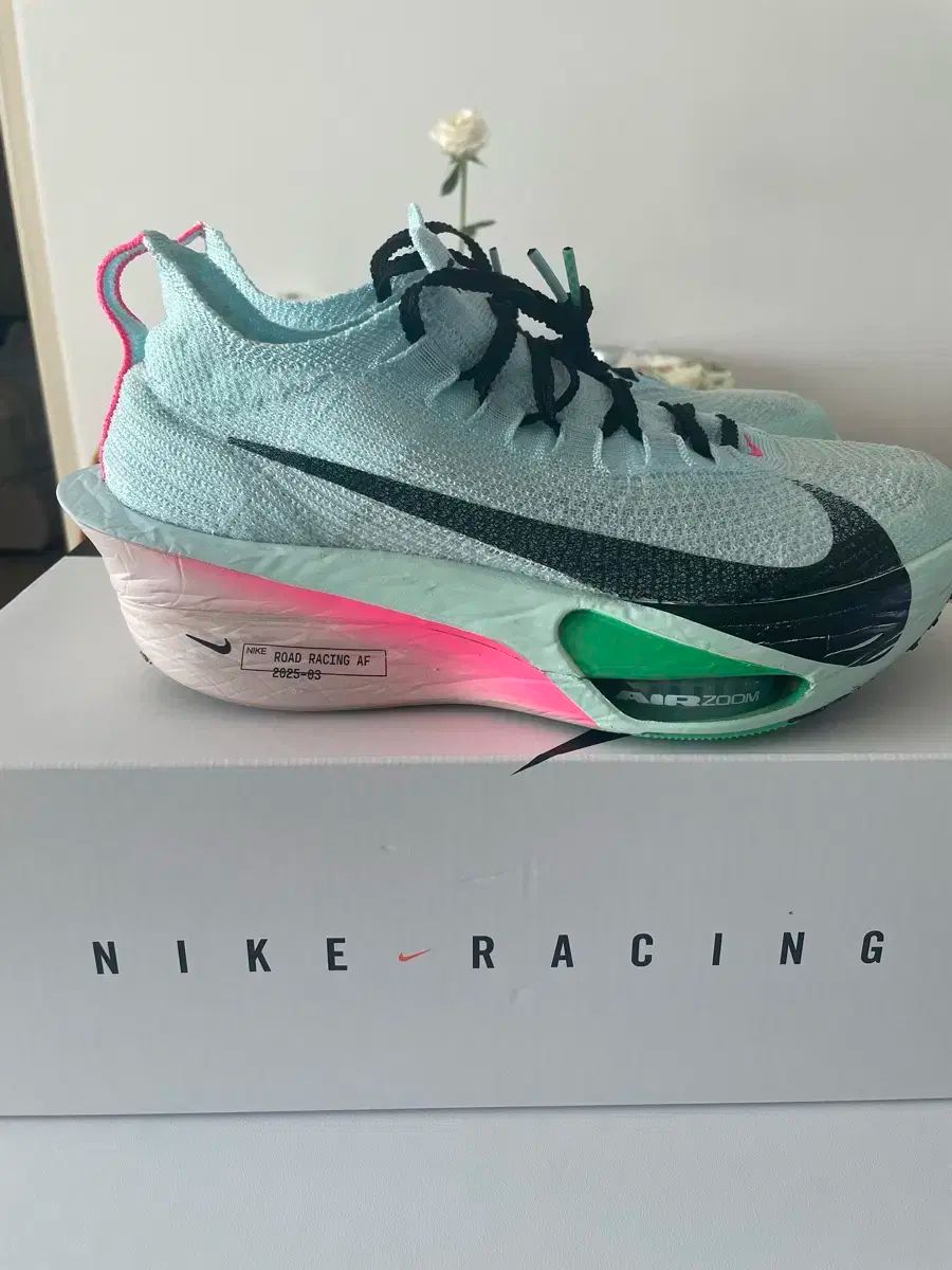 NIKE アルファフライ3 260 サイズ