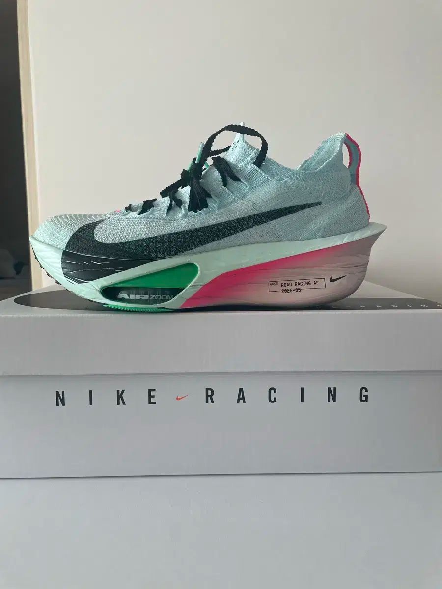 NIKE アルファフライ3 260 サイズ