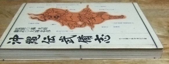 沖縄伝武備志 沖縄伝武備志 | 大塚 忠彦 |本 | 通販 | Amazon