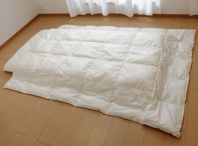 子供用布団 洗える布団 ダウンライク２枚合わせ掛け布団 ジュニア用 135×185センチ 1カ月程度で発送予定