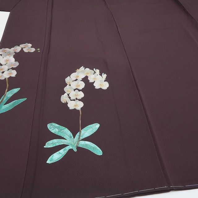 藤林徳扇 胡蝶蘭