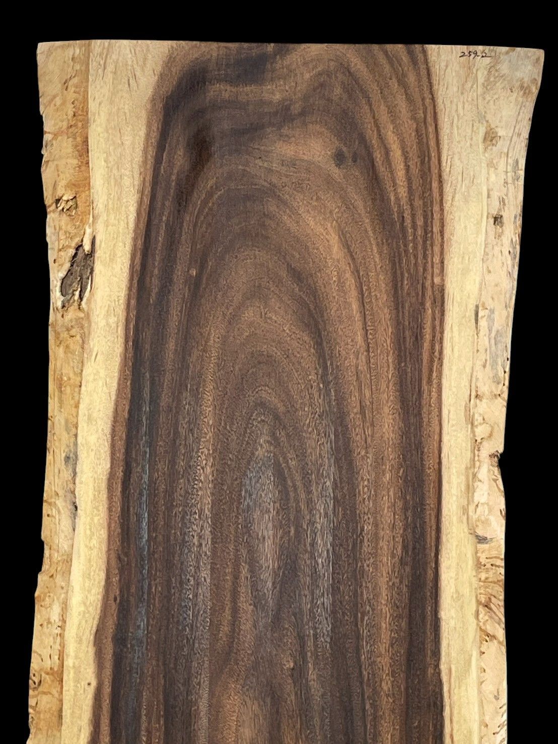 モンキーポッド M259-2 一枚板 乾燥材 棚板 カウンター テーブル DIY 耳付 天板 テレビボード 全国都道府県