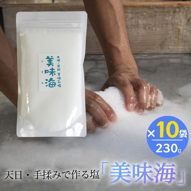 天日塩 美味海 230g 10袋セット うまみ 海工房 天日自然海塩 国産 塩 天然 高知県産 調味料