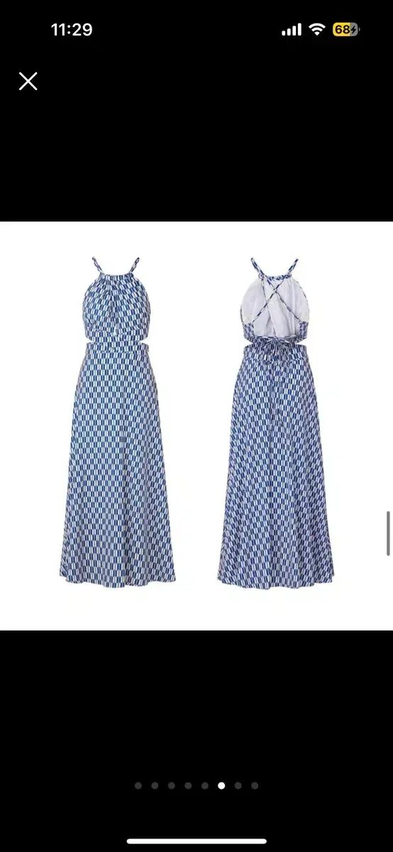 ダリア ホルター