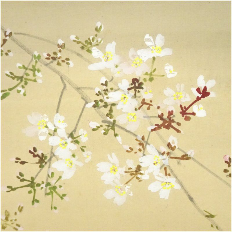 今井景樹筆 夜桜 肉筆絹本掛軸 共箱 掛け軸 床の間 書 おしゃれ 絵画 表具 芸術 茶道 年中掛け インテリア 茶掛 掛物 和室 4月 春 WWW_IBETON_RU