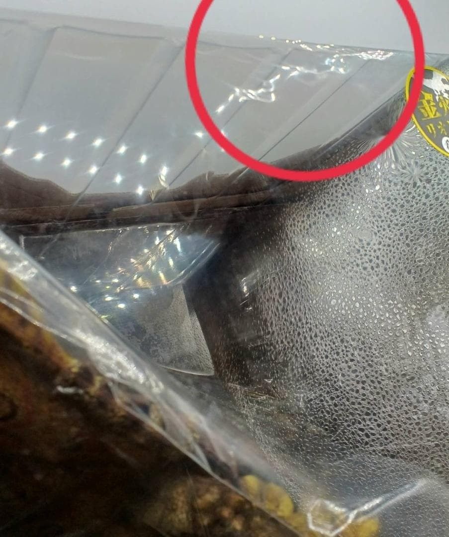 モンスターハンター 金火竜