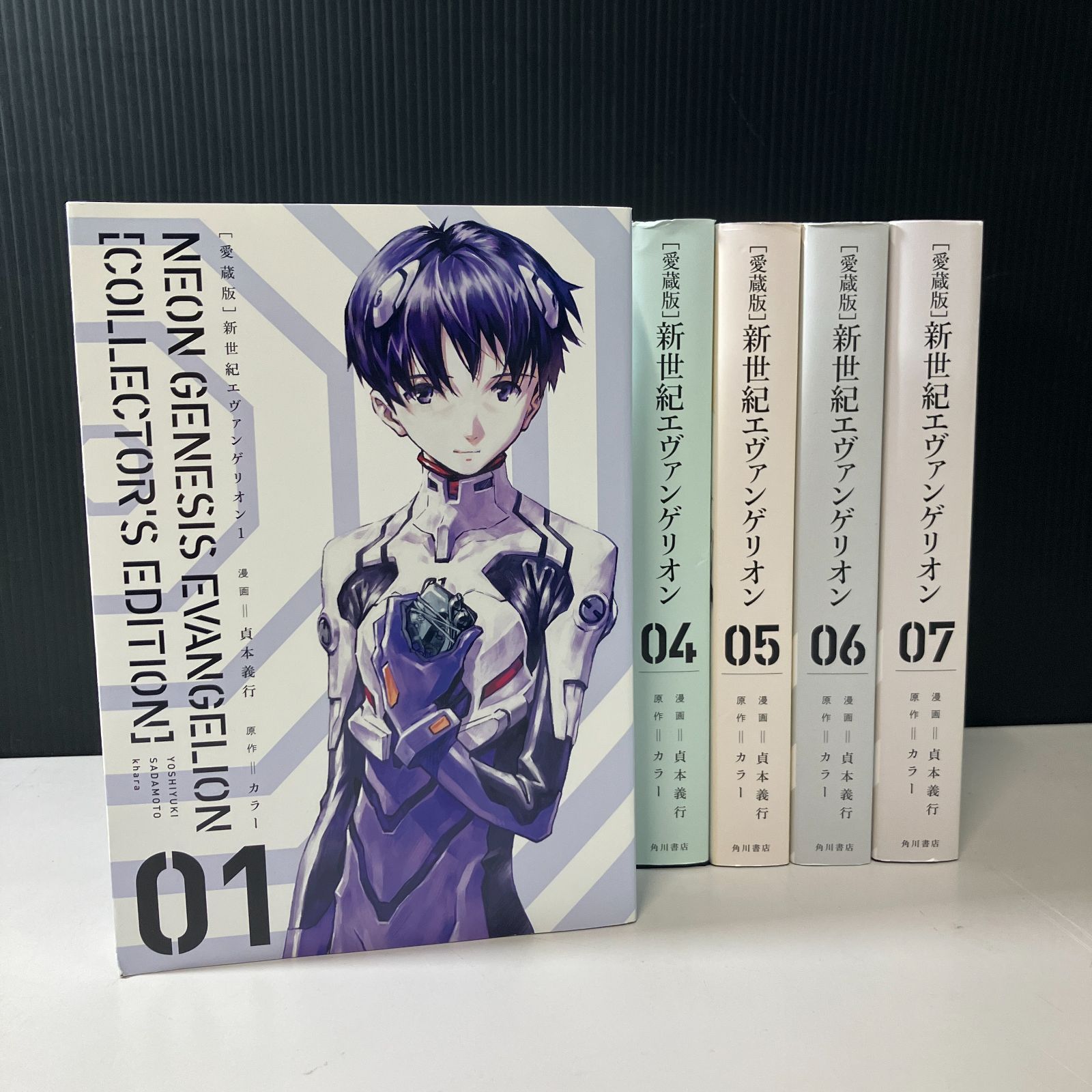 むつ1-102803 愛蔵版 特典7点セット付 新世紀エヴァンゲリオン 全巻
