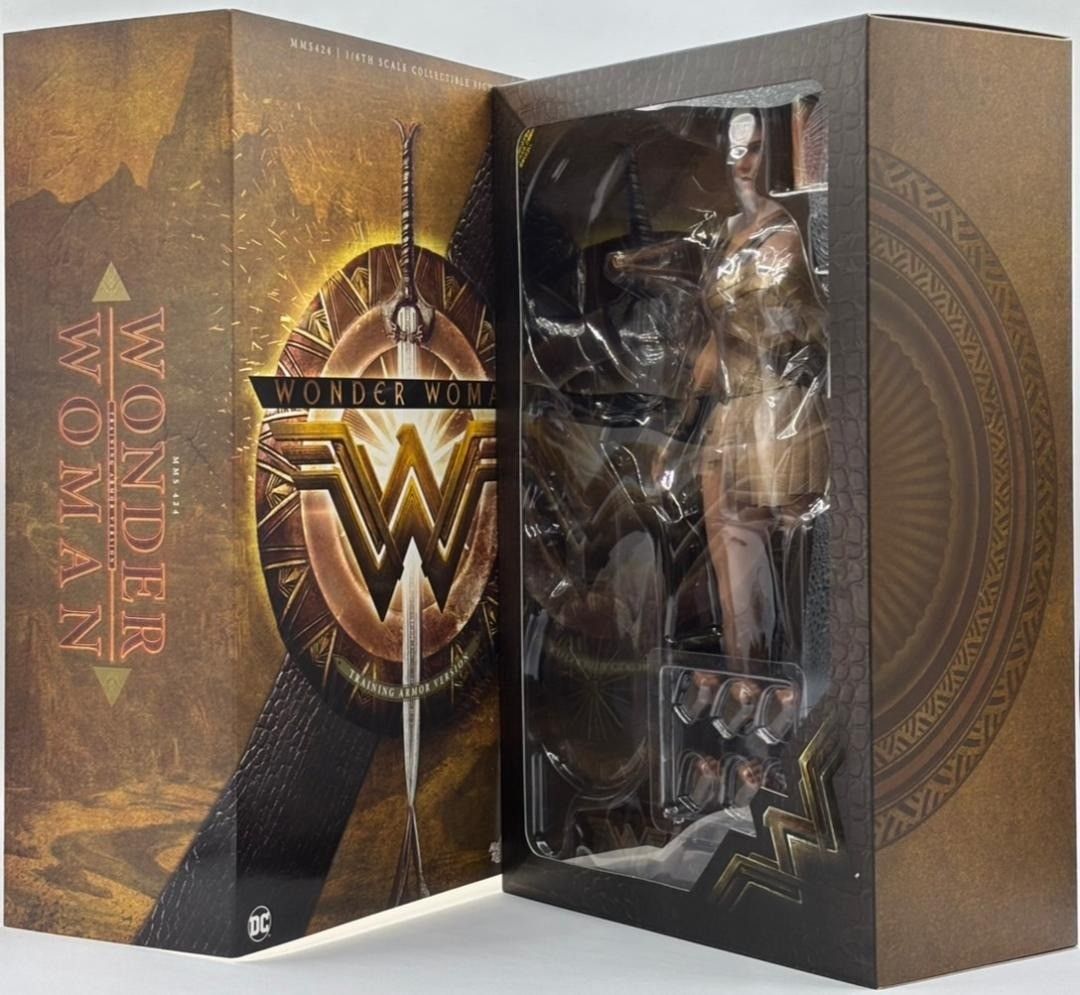 ホットトイズ ワンダーウーマン トレーニング アーマー版 1 6スケール フィギュア ムービー マスターピース nn