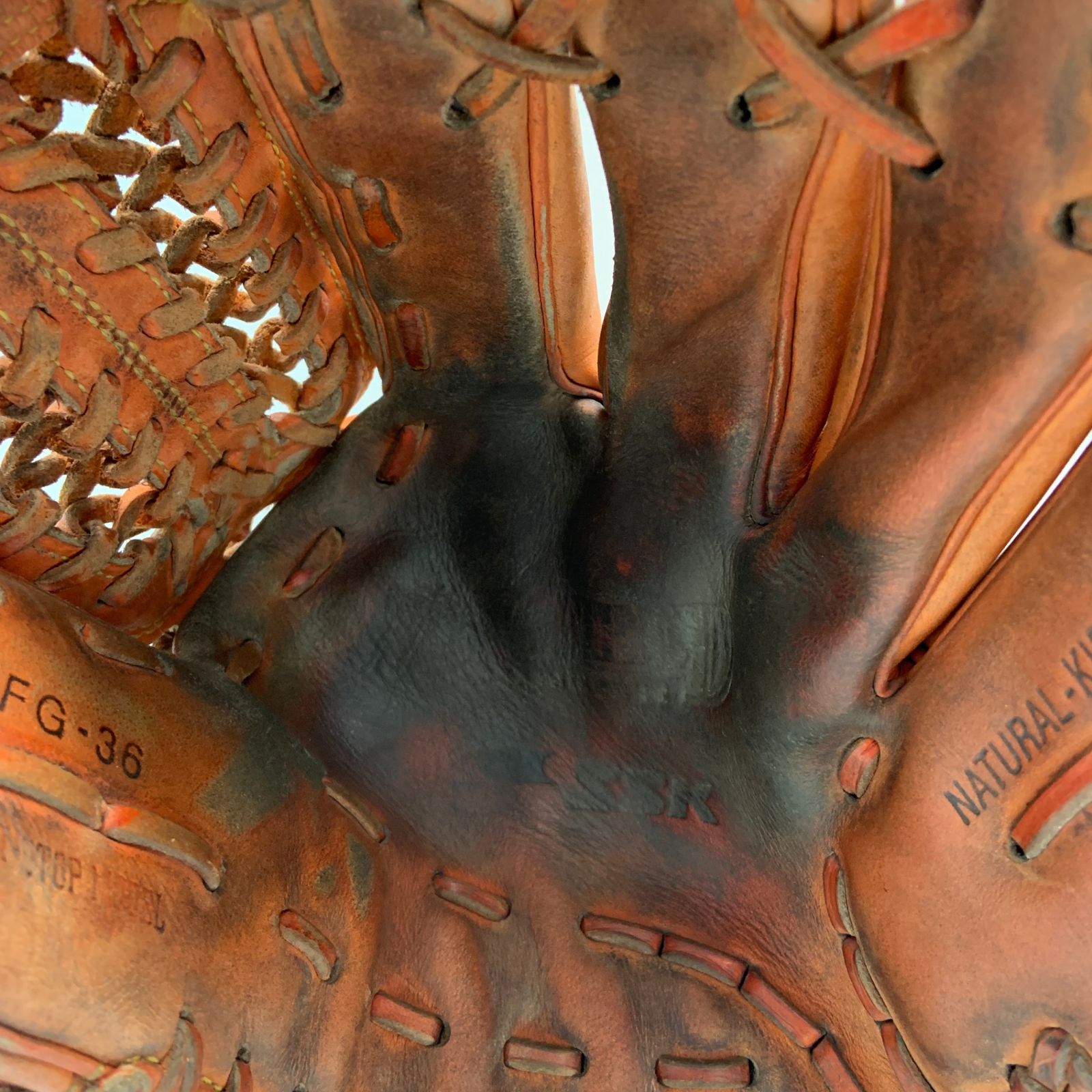 グローブ袋付き