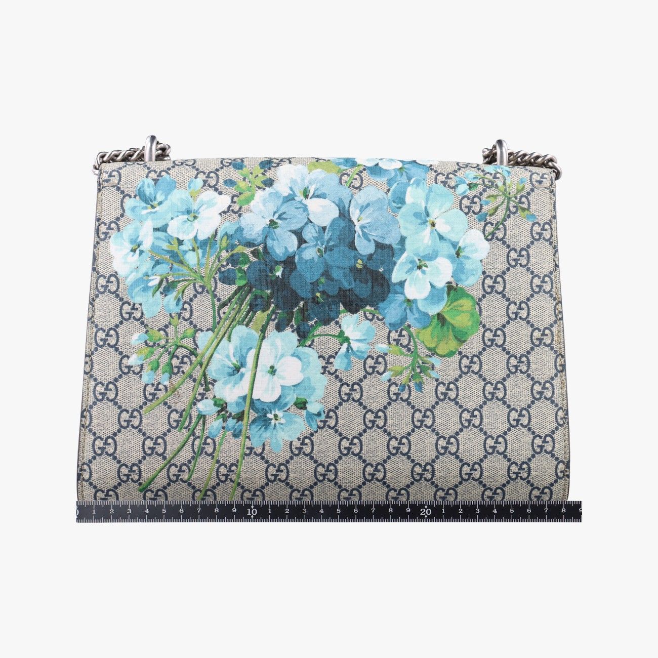 グッチGucciディオニュソス ベージュ×ブルー×マルチ PVCコーティングキャンバス 400235 I021329362