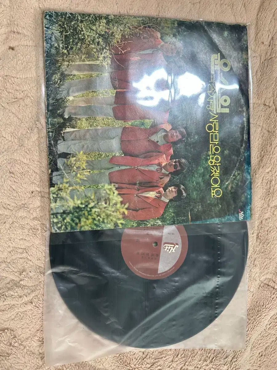 コットンキャンディー 早い