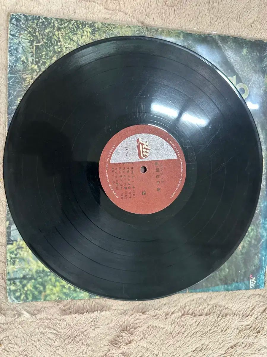 コットンキャンディー 早い