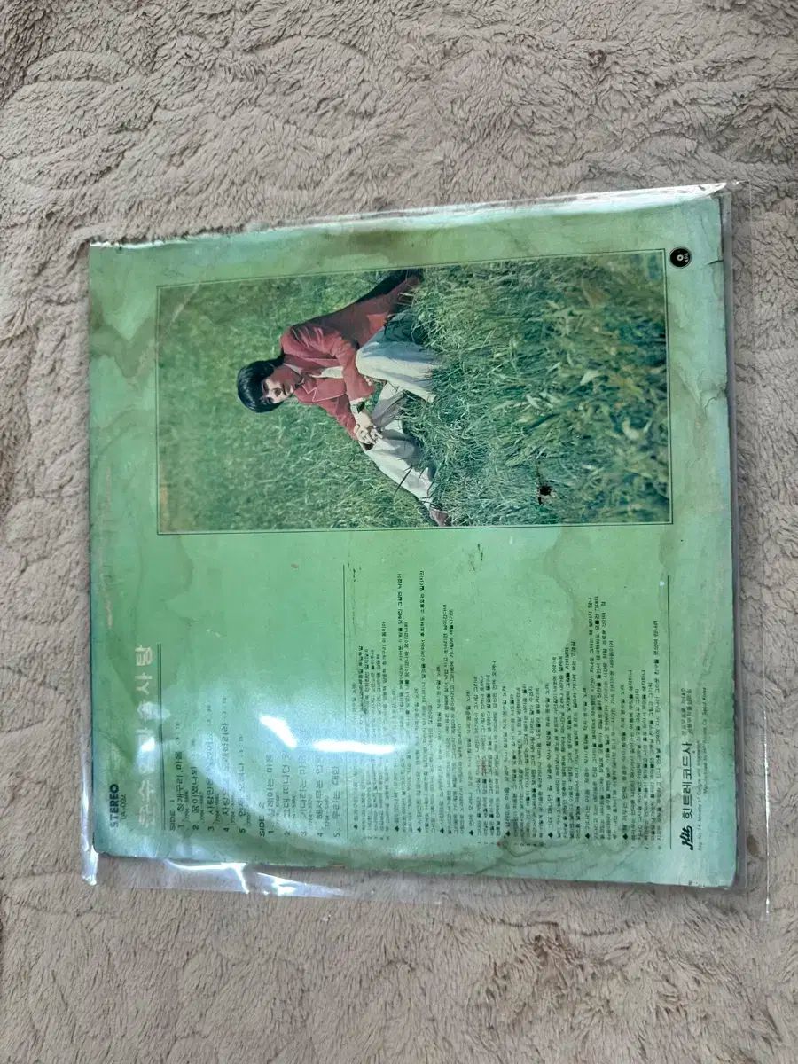 ユン スイル コットンキャンディー 早い LP