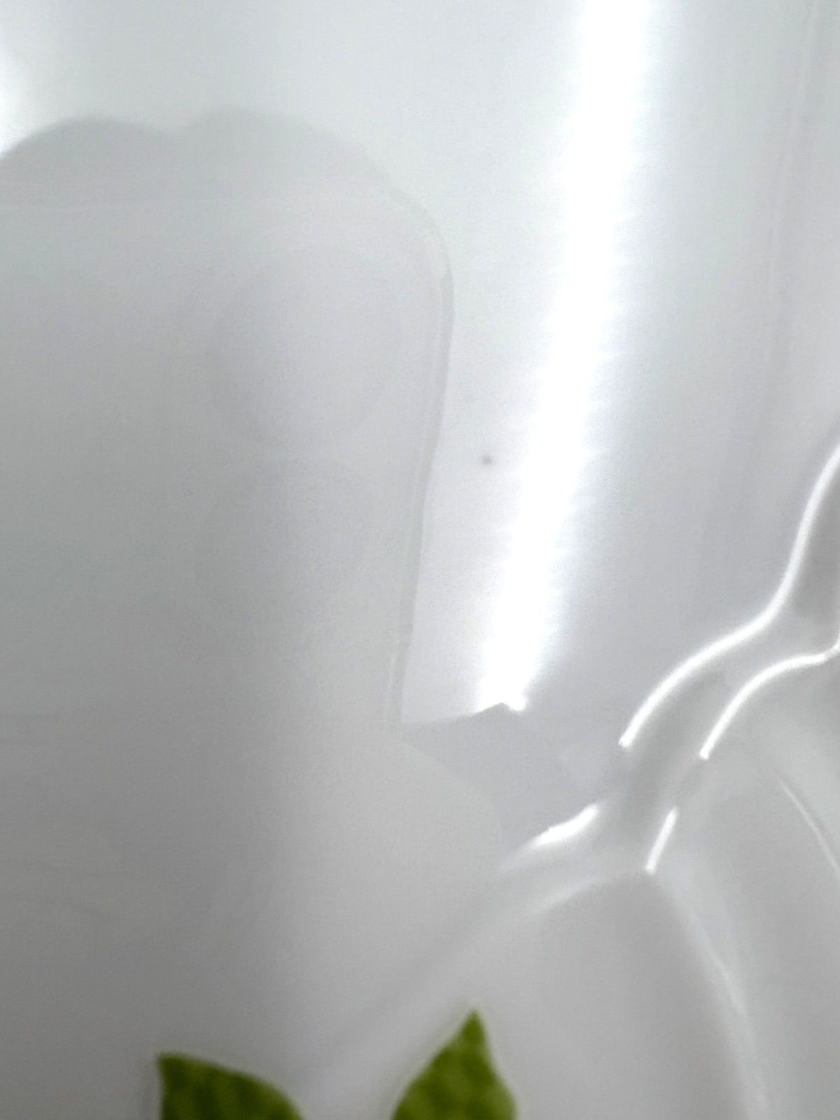 Richard Ginori リチャードジノリ フィオーリヴェルディ 33cm プレート グリーン 大皿 き WWW_SKLAD-KIRPICHA_RU