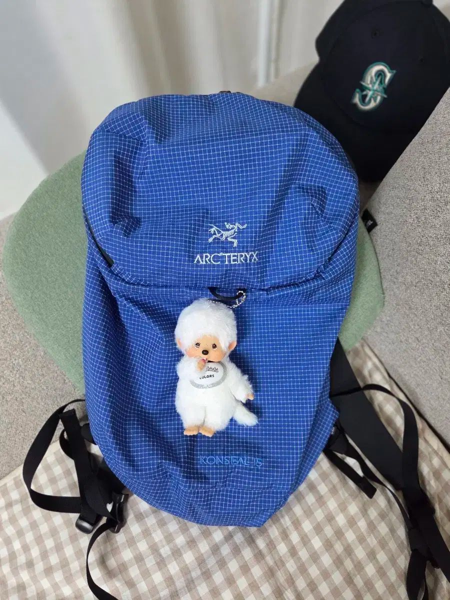 アークテリクス コンシール 15 バックパック バイタル