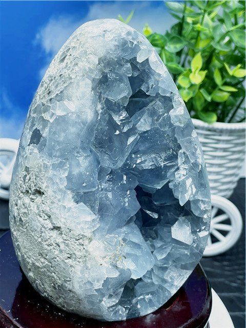 1765gAAA級天然セレスタイト原石B88U3 215U96C