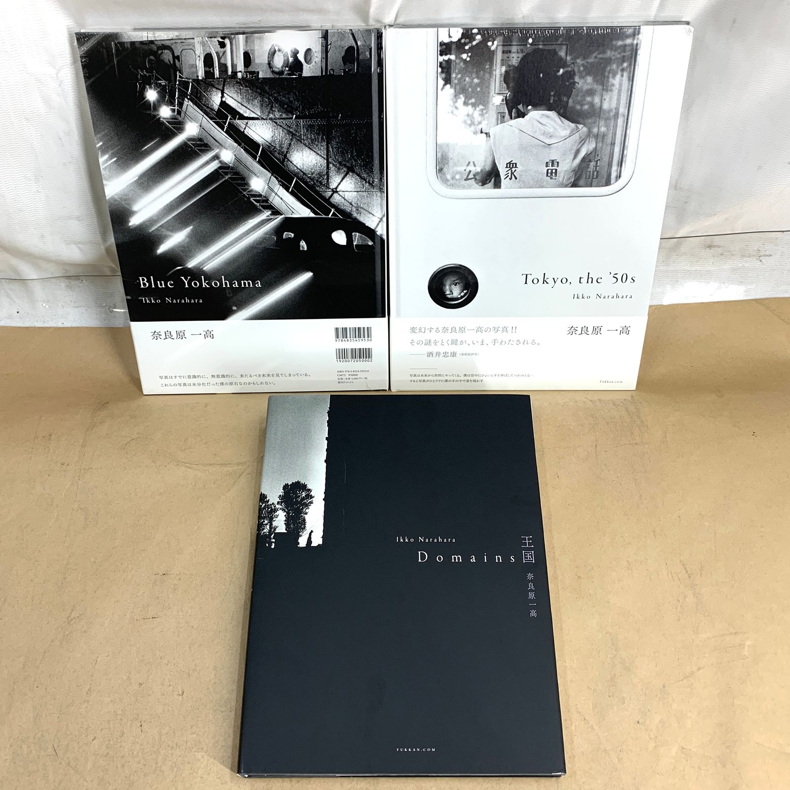 【極美品】 王国 Domains 奈良原一高 写真集+Tokyo the 50s / Blue Yokohama 2冊