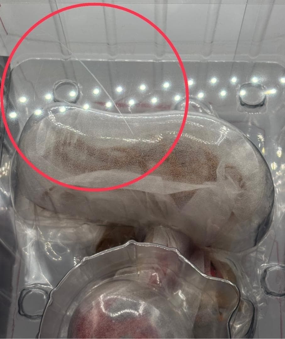 アスカ ラングレー