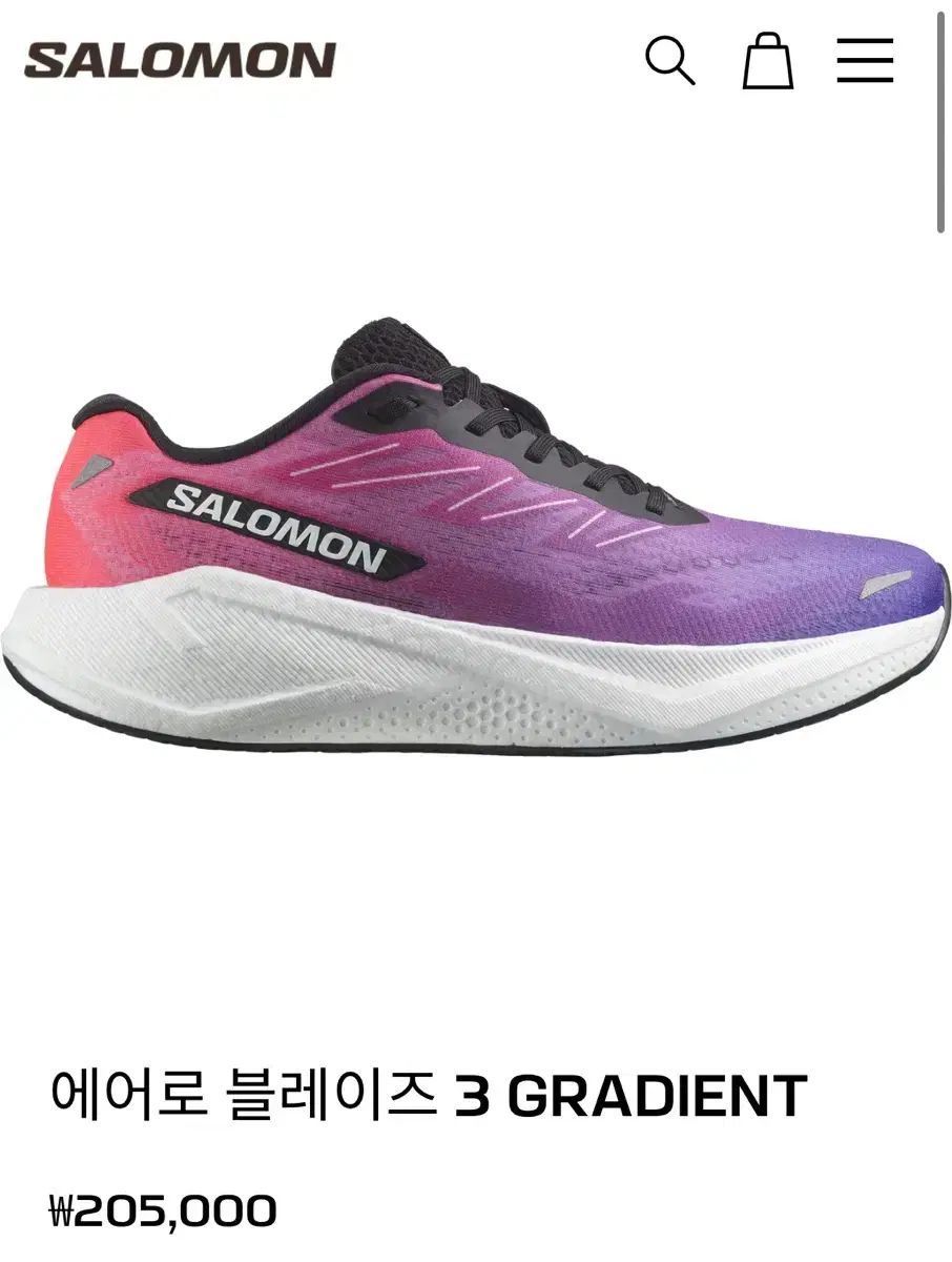 SALOMON サロモン エアロ グレイズ 3 250 サイズ メンズ
