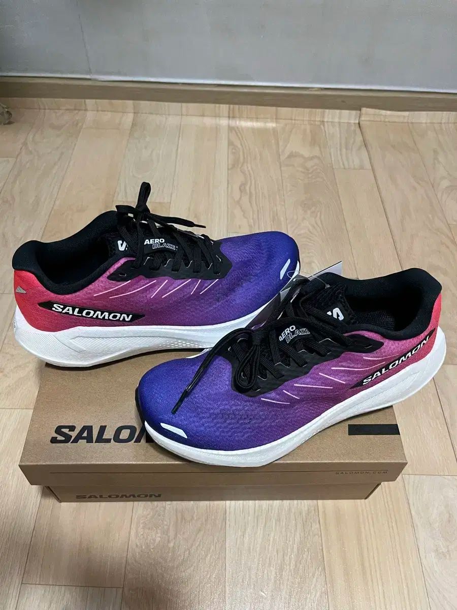 SALOMON サロモン エアロ グレイズ 3 250 サイズ メンズ