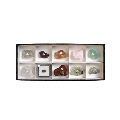 東京サイエンス 蛍光鉱物標本セット 長波 10種