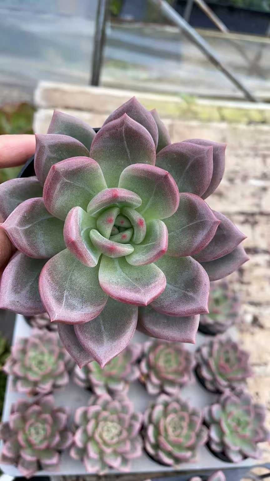 Burtle AC09-2 空調服 ブラック ファンユニット付き