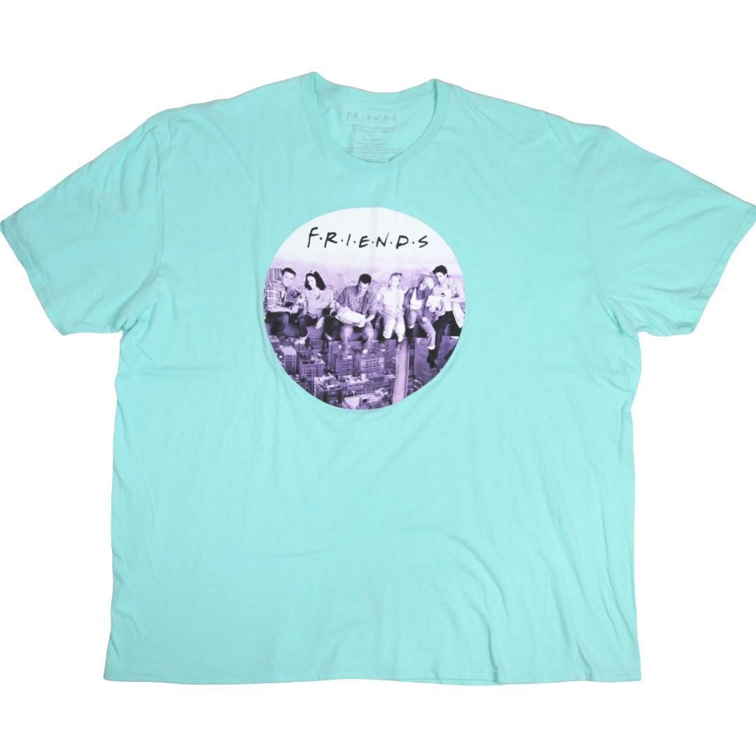 90s F.R.I.E.N.D.S. フレンズ ドラマ プロモーション Tシャツ 90s USA製 FRIENDS フレンズ ヴィンテージTシャツ フェード感