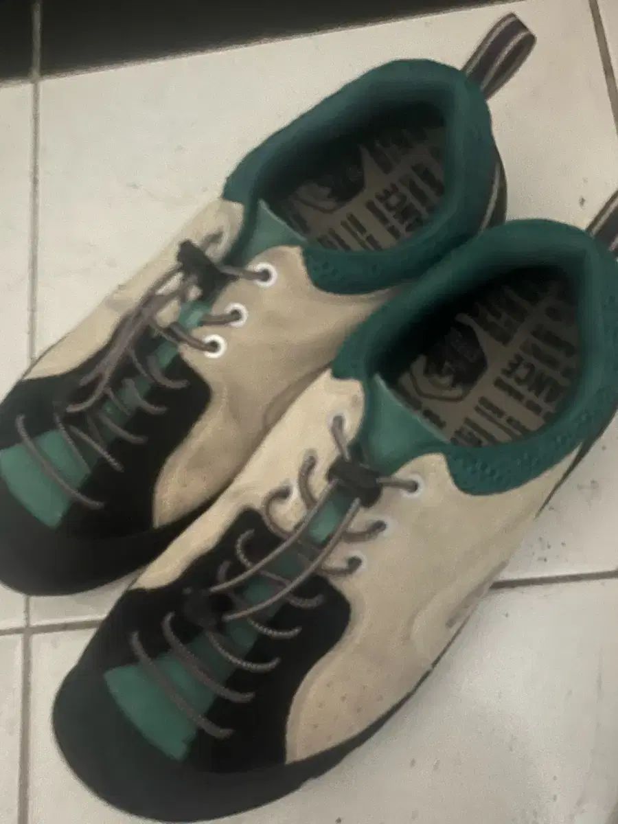 キーン ジャスパー ロックス SP スニーカー トープ 270