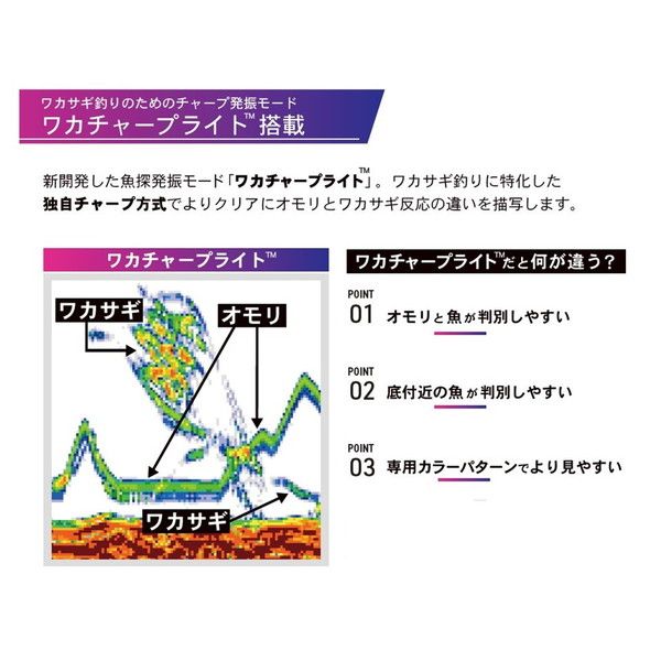  ホンデックス 魚探 PS 711 CN ワカサギパック その他 フィッシング