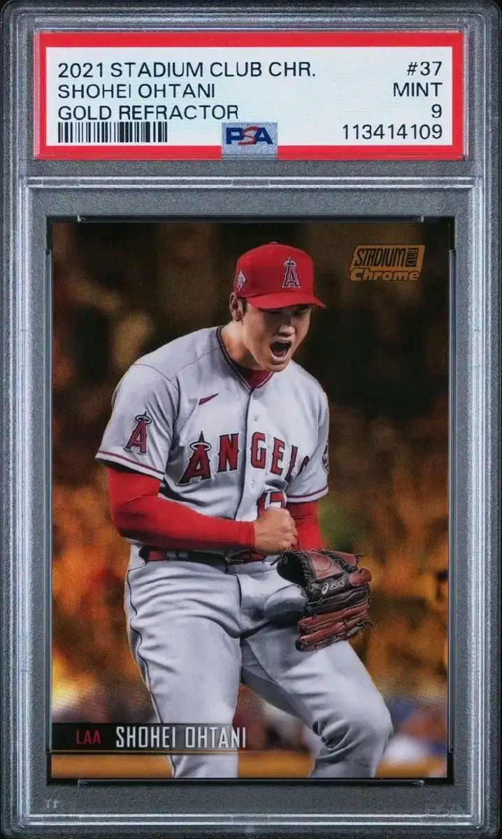 大谷 イメージベリエーション GOLD 등카