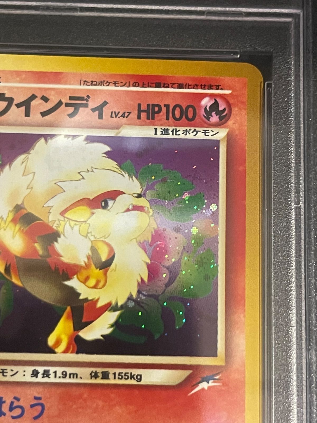 【2001年】ポケモンカード やさしいウィンディ 旧裏 ポケモンカード 2001年 やさしいウィンディ 旧裏 PSA9鑑定品 - メルカリ