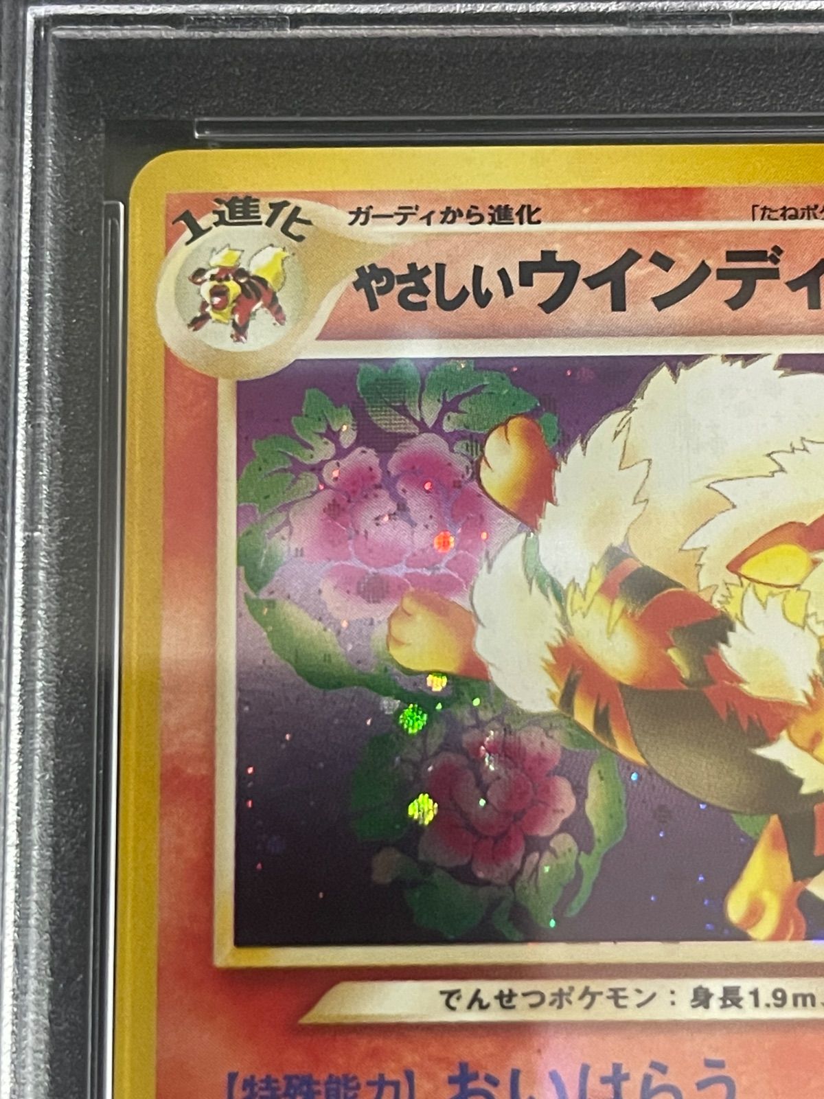 ポケモンカード 2001年 やさしいウィンディ 旧裏 PSA9鑑定品 - メルカリ