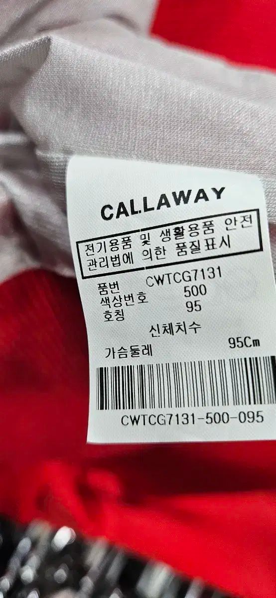 レッド レディース