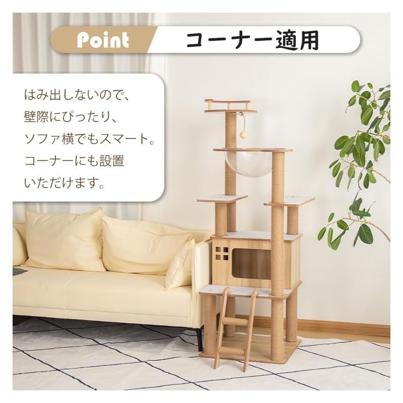 上りやすい 成猫