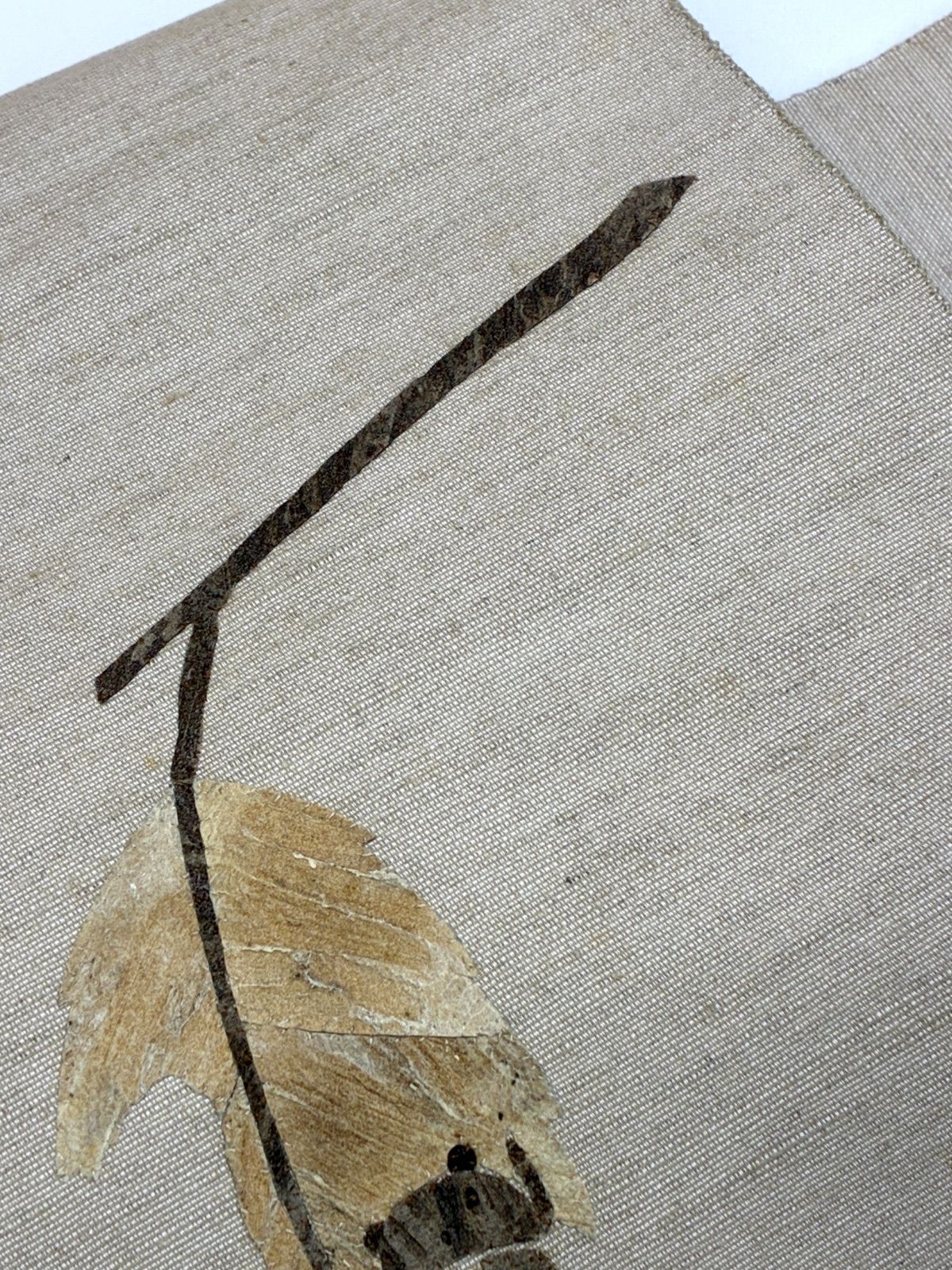 蓑虫 葉っぱに蝉