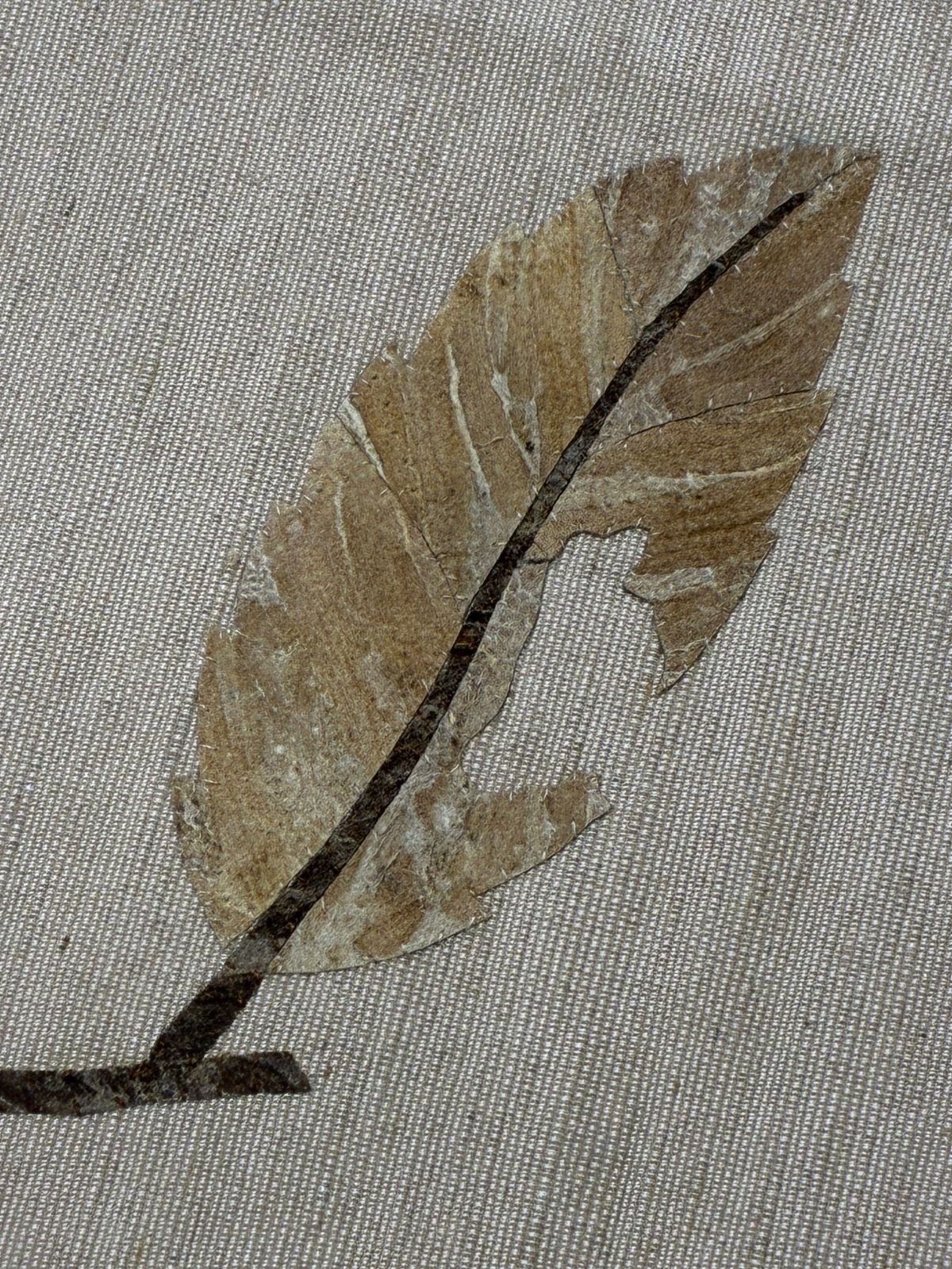 紬の八寸名古屋帯 蓑虫