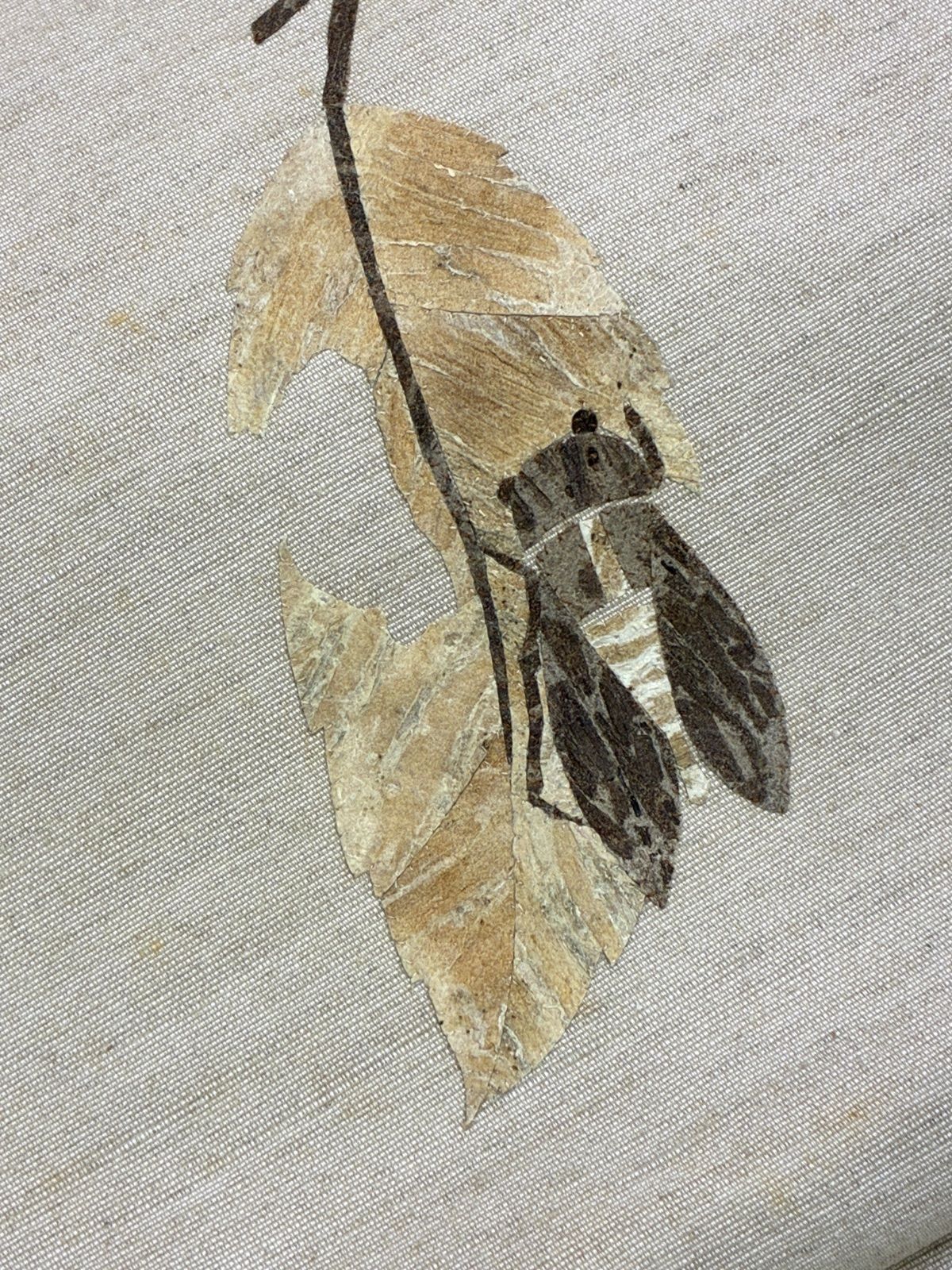 紬の八寸名古屋帯 蓑虫 葉っぱに蝉