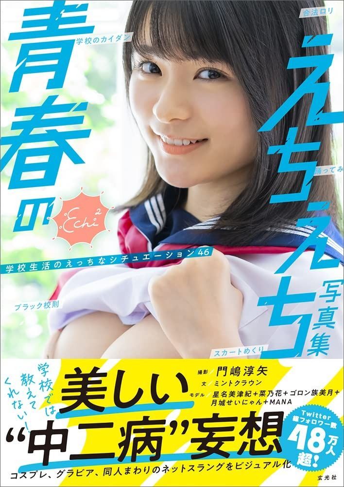 【最新作，定番】 青春のえちえち写真集 その他