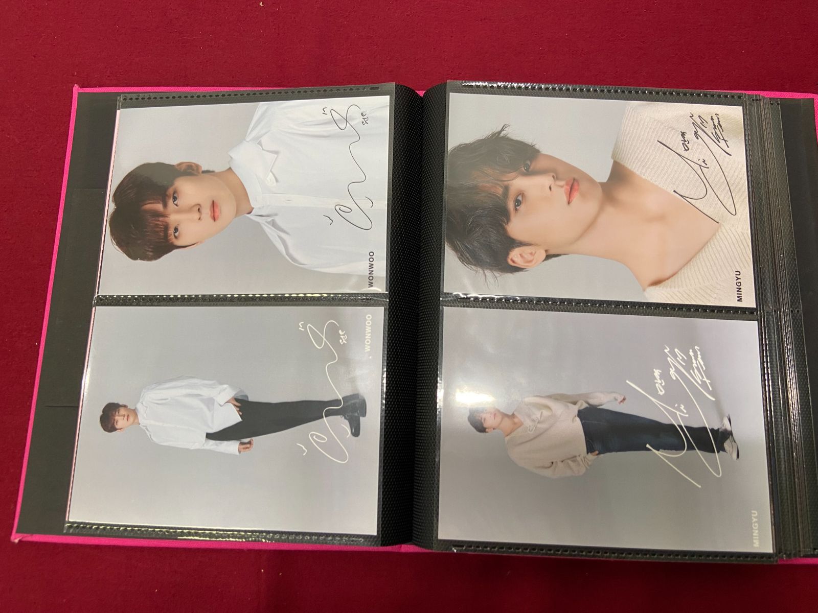 クリアファイル DVD