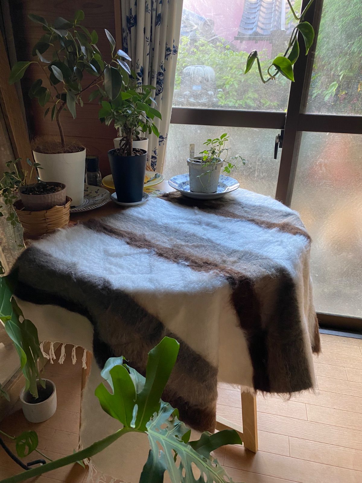 シイルトバッタニイェなら25年販売実績のある当店で