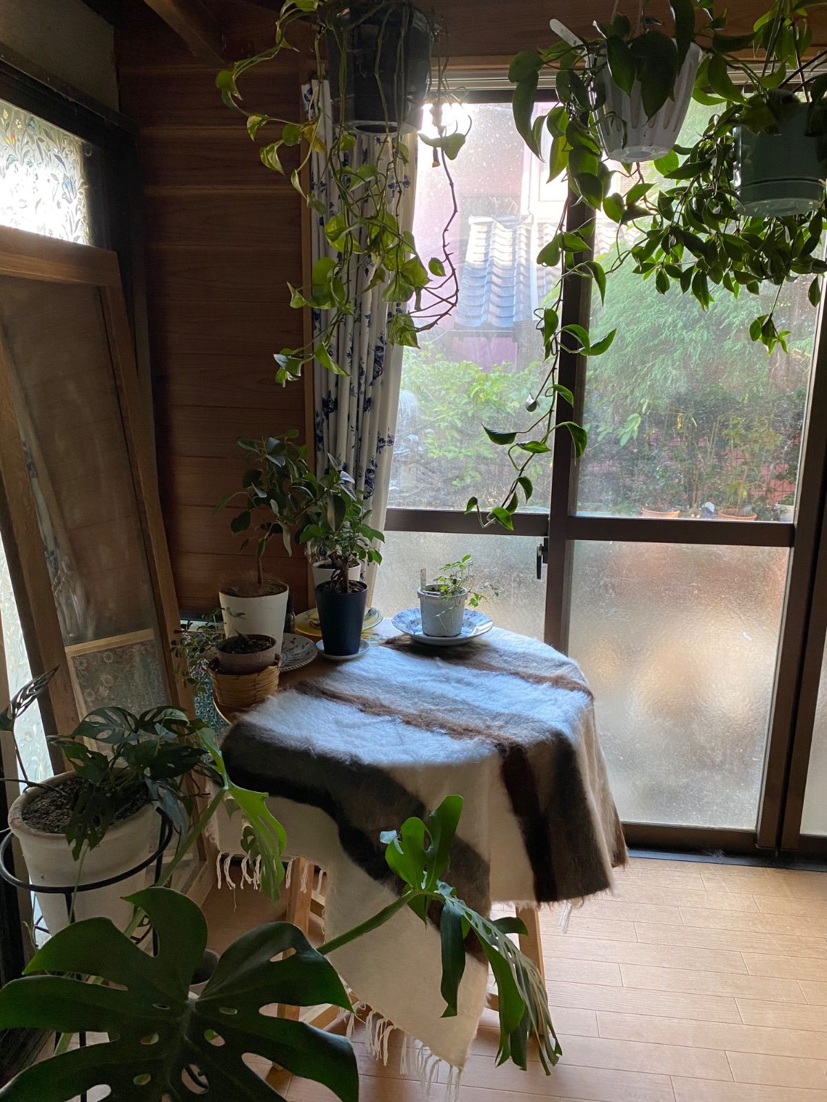 シイルトバッタニイェなら25年販売実績のある当店で 良いものをリーズナブルに