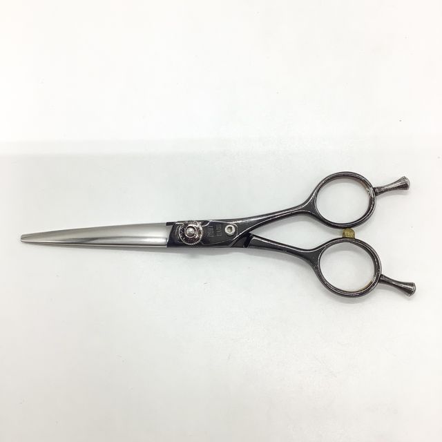 柳生 YAGYU ドライカットシザー　美容師　シザー YAGYU柳生】覇王RD6.0ドライカット スライド シザー メガネ 理容 美容